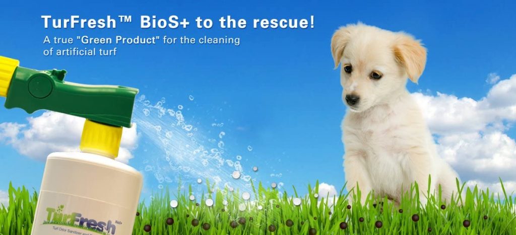 Artificial Turf Pet Odor