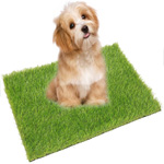 best turf for dogs