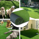 best turf for dogs