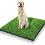 best artificial grass for dogs