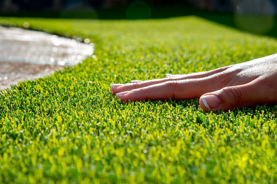 Best Artificial Grass for Arizona Heat