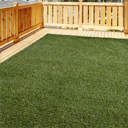 iCustom Rug Artificial Grass