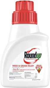 Best weed killers 