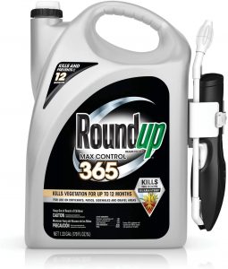 Best weed killers 