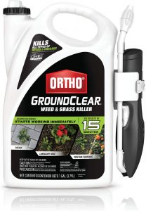 Best weed killers 