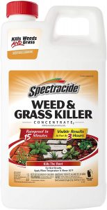 Best weed killers 