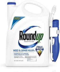 Best weed killers 