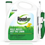 Best weed killer