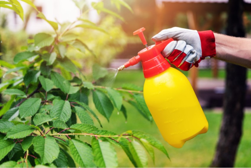 How Long Does Weed Killer Remain in the Soil?