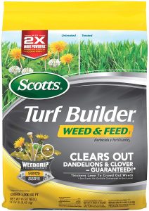 Best Weed Killers for Lawn