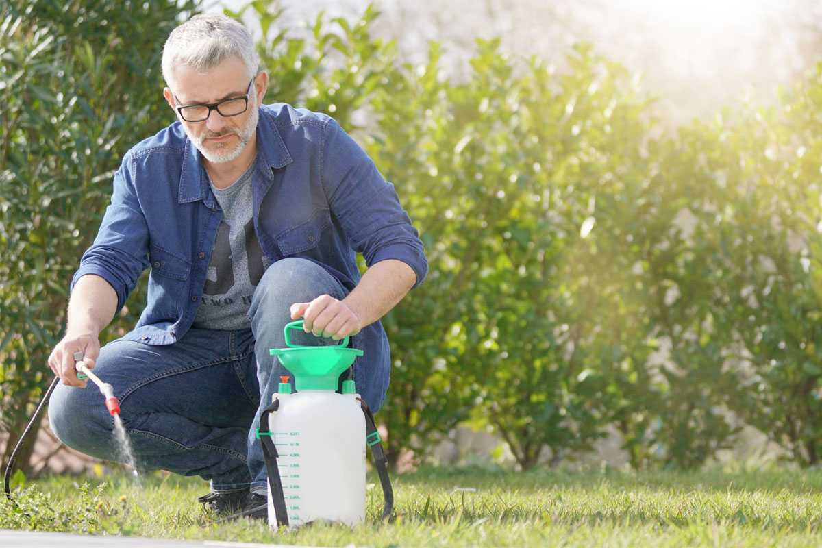 Best weed killer for large areas