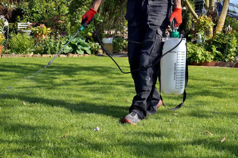 best weed killer for lawn