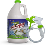 Best Weed Killers for Flower Beds