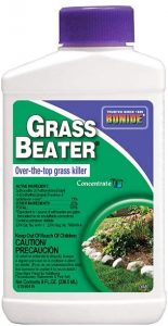 Best Weed Killer For Bermuda Grass