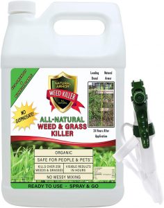 Best Weed Killer For Block Paving