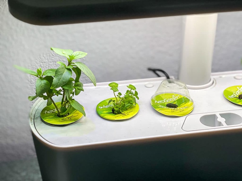 How does AeroGarden work