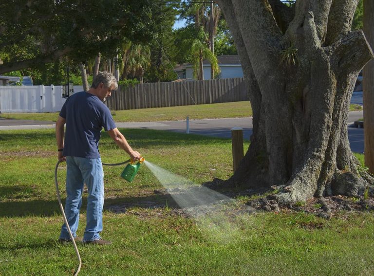 Best Weed Killer For Bermuda Grass