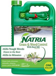 Natria 100532524 Grass & Weed Control with Root Kill Herbicide Weed Killer