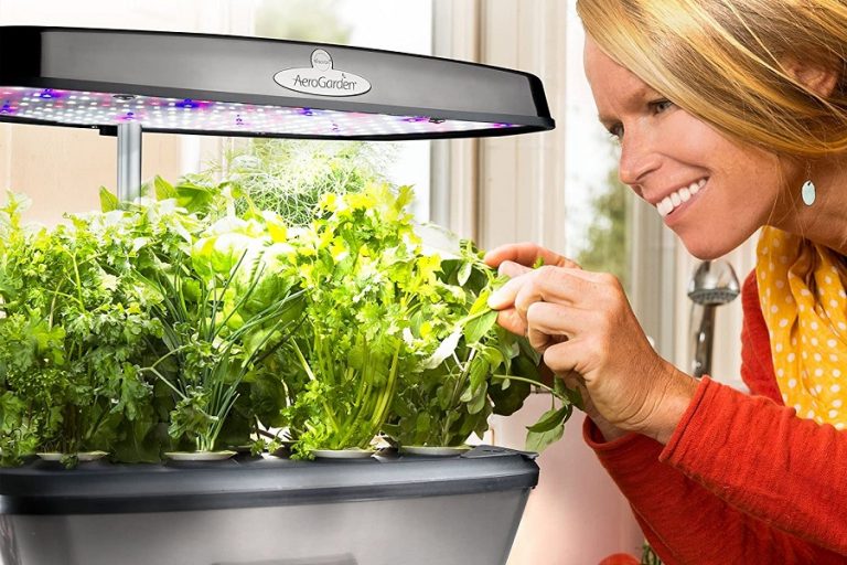 What Is Aerogarden